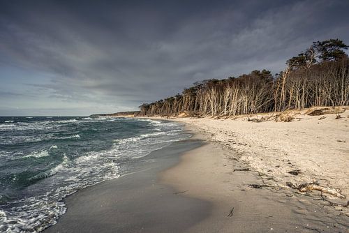 Weststrand VII