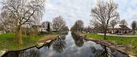 Bare trees near the water in Almere Stad Filmwijk