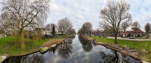 Bare trees near the water in Almere Stad Filmwijk by C'est la Vie de Jurgen