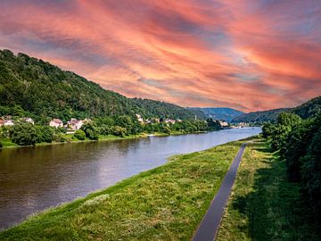 Uitzicht op de oevers van de Elbe bij Bad Schandau in Saksen van Animaflora PicsStock