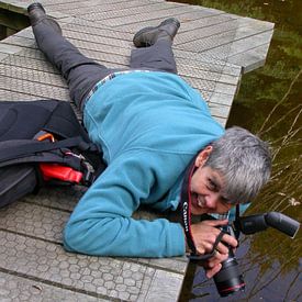 Petra Borsch profielfoto