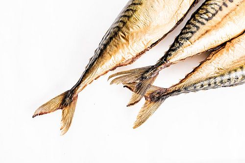 Photo abstraite de queues de maquereaux cuites à la vapeur