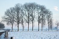winters sfeer landschap van Marijke van Eijkeren thumbnail