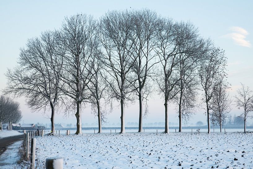 winters sfeer landschap van Marijke van Eijkeren