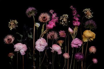 stilleven van voorjaarstuin met gedroogde bloemen van Karel Ham