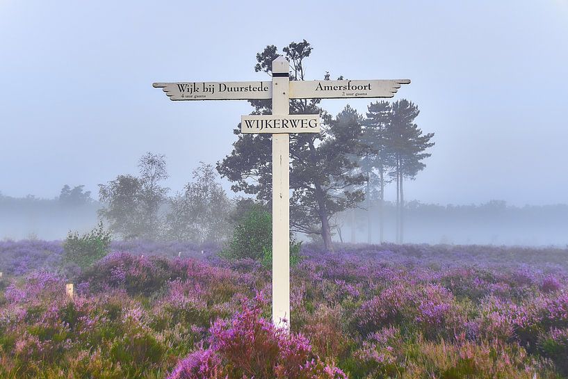 Sunrise on the purple heath by Ad Jekel