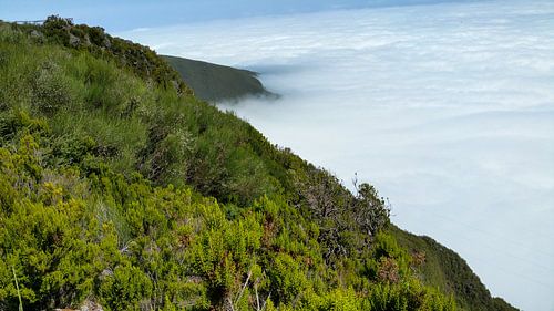 Slope section on a mountain with view to the trade wind clouds of Madeira