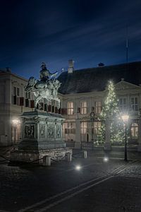 Weihnachtsbaum im Palast Noordeinde von gaps photography