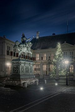 kerstboom bij Paleis Noordeinde, een van de drie officiële paleizen van de Nederlandse koninklijke f van gaps photography