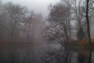Flottant entre la brume et le temps