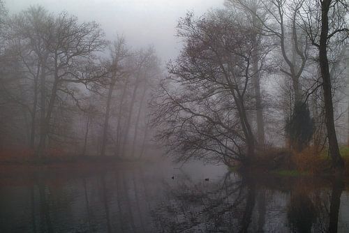 Schweben zwischen Nebel und Zeit