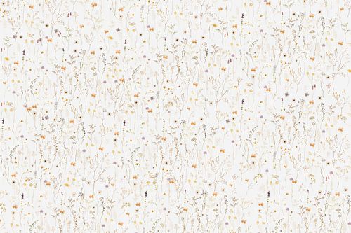 Een miljoen wilde bloemen op wit