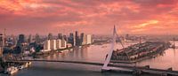 Rotterdam on fire van Ilya Korzelius thumbnail