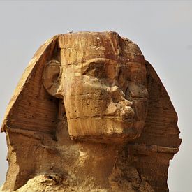 Grand Sphinx d'Égypte, Gizeh sur Maurits Bredius