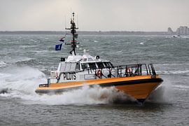 Lotsenboot auf der Westerschelde bei Vlissingen