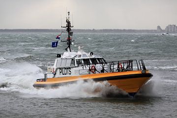 Bateau pilote sur la Westerschelde près de Vlissingen sur MSP Canvas