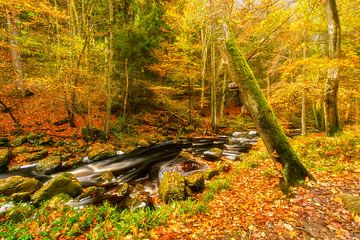 Autumn stream with tree trunk