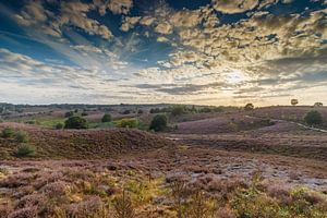 La Posbank. sur Menno Schaefer