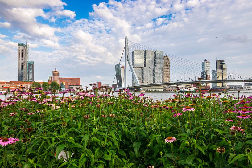 Sommer in der Stadt von Ton Kool