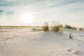 Nordsee Dünen von Ursula Reins