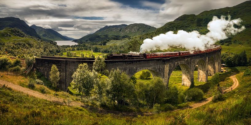 Steam train by Wojciech Kruczynski