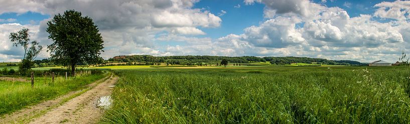 Plateau van Margraten van Maurice Hertog