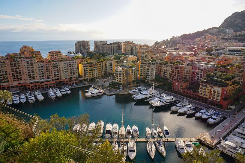 Monaco by Hello Pompoyo