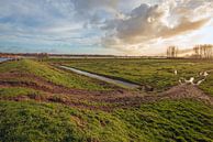 Marshy Grasland in der Nähe eines holländischen Deiches von Ruud Morijn Miniaturansicht