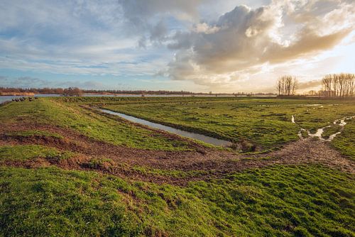 Moertassig grasland bij een Nederlandse dijk