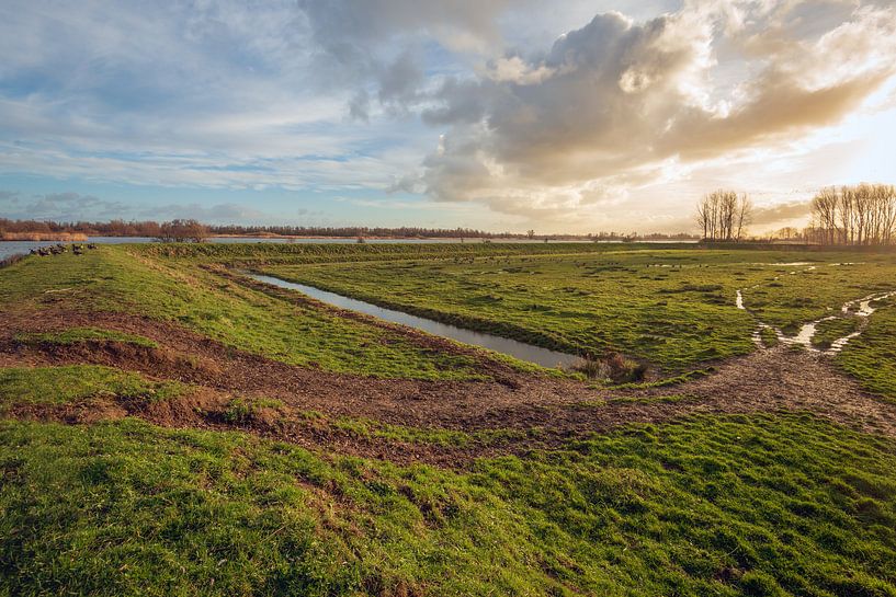 Marshy Grasland in der Nähe eines holländischen Deiches von Ruud Morijn