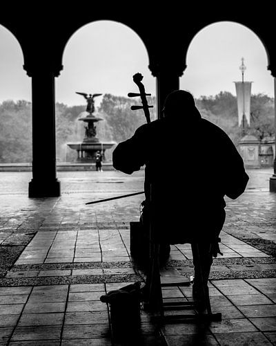 Een Man Speelt Viool in Central Park | NYC