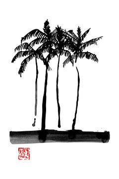 palmiers sur Péchane Sumie