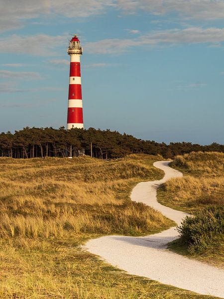 Blick auf den schönen Leuchtturm von Ameland von Meindert Marinus