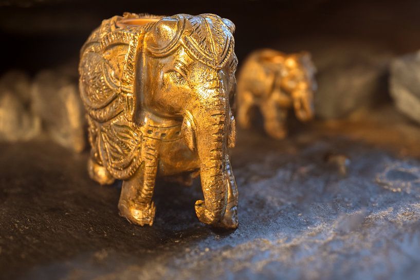 THE LUCKY ELEPHANT by Photoart-Naegele