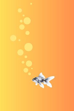 Out of gold by Marieke van Rijsewijk