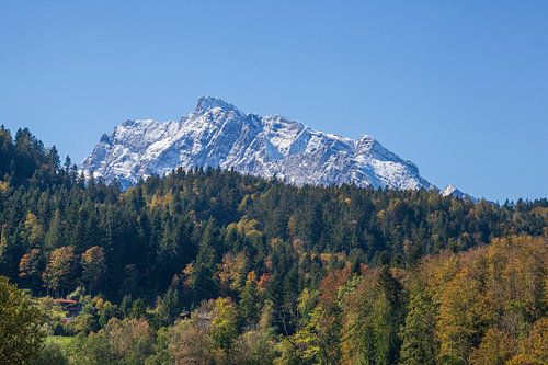 Hochkalter mit Wald und Bäumen im Herbst 
