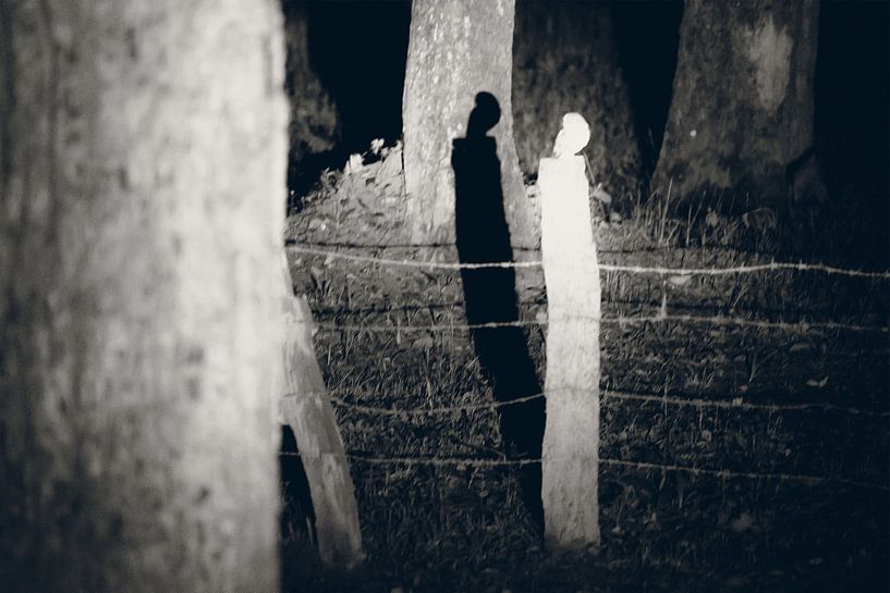 Owl shadow by Edgar Bonnet-behar