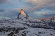 Alpenglühen Matterhorn bei Zermatt von Martin Steiner Miniaturansicht