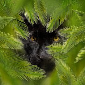 black panther by gea strucks