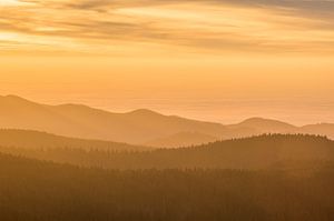 Der Harz von Patrice von Collani