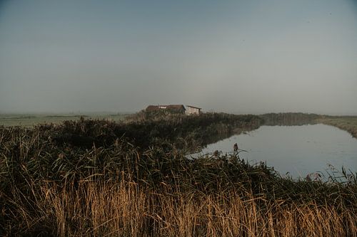 Cottage in the Polder
