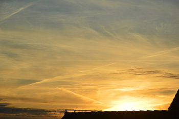 two birds under the sunrise. aerial view