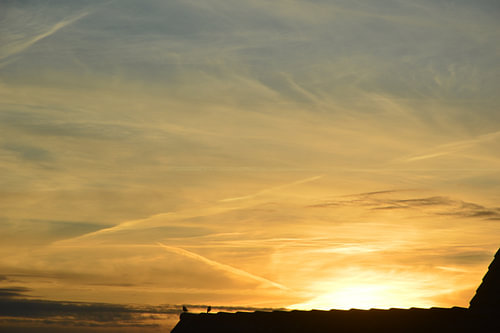 two birds under the sunrise. aerial view