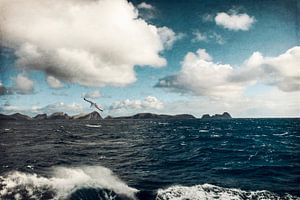 Kust van het eiland Madeira - Atlantische Oceaan van Dirk Wüstenhagen