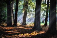 Herfst