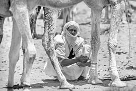 Moussem de Tantan, Marokko