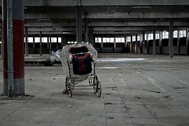 Bild von den verlassenen Markthallen in Meppel. von Therese Brals