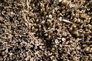Riet stapel