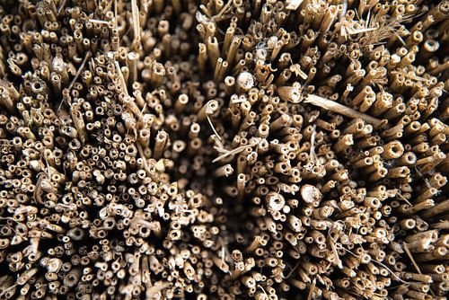 Riet stapel van Pieter Bosch