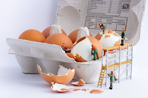 Éplucher les œufs sur Manja van der Heijden